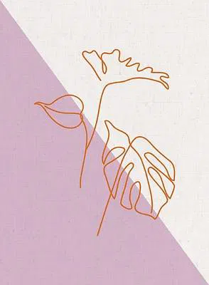210-0681 Product Image 1