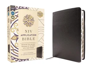NIV Application Bible, European Bonded Leather, Red Letter,
