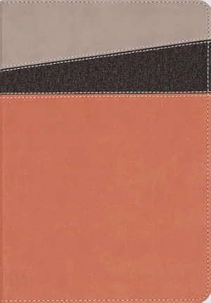 NIV Application Bible, Leathersoft, Coral/Grey, Red Letter, Thumb Indexed