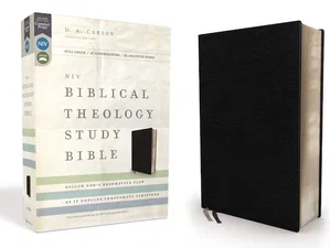 NIV Biblical Theology Study Bible, Leathersoft, Black