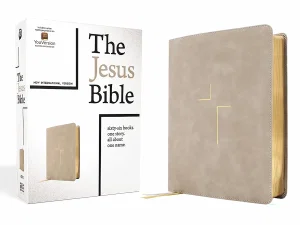 NIV The Jesus Bible Leathersoft, Stone