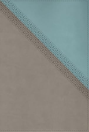 NIV Application Bible, Leathersoft, Teal/Grey, Red Letter, Comfort Print