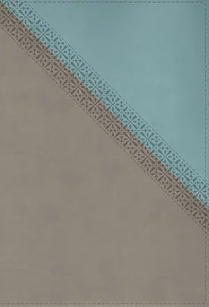 NIV Application Bible, Leathersoft, Teal/Grey, Red Letter, Comfort Print