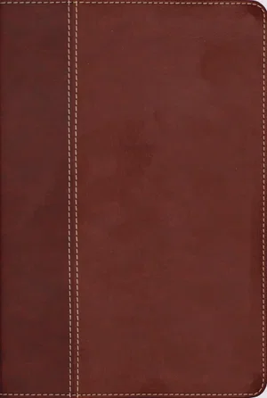 NIV Cultural Backgrounds Study Bible, Leathersoft, Brown, Red Letter