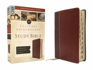 NIV Cultural Backgrounds Study Bible, Indexed, Leathersoft, Brown