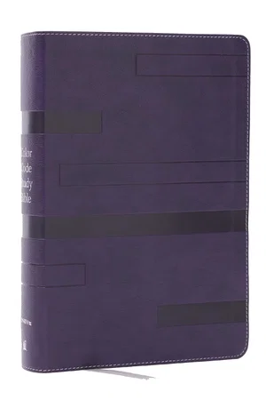 NIV Colour Code Study Bible, Revealing God's Truth Colour by Colour Purple Leather