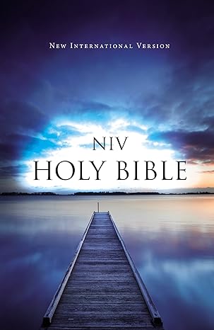 NIV Value Outreach Bible Paperback