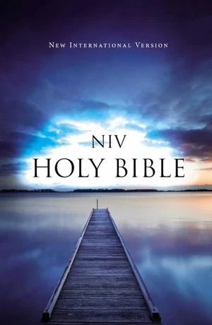 NIV Value Outreach Bible Paperback
