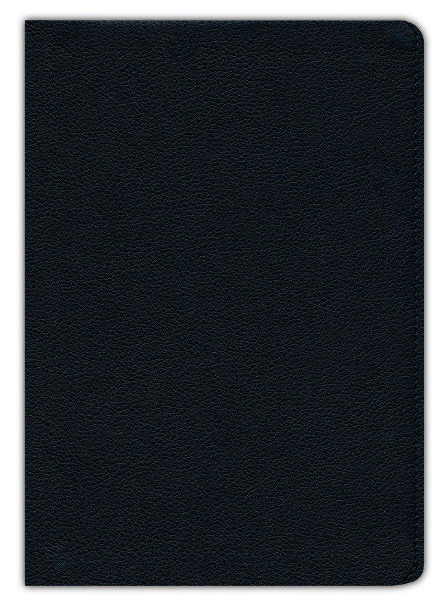 Product 211-0235 - View 1 211-0235 Product Image 1