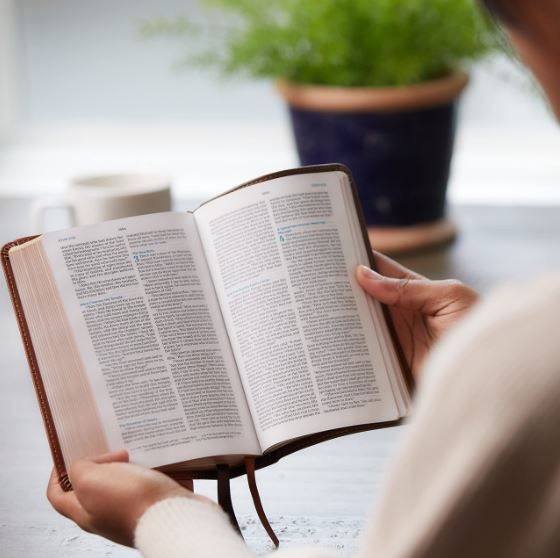 211-0241 Product Image 2