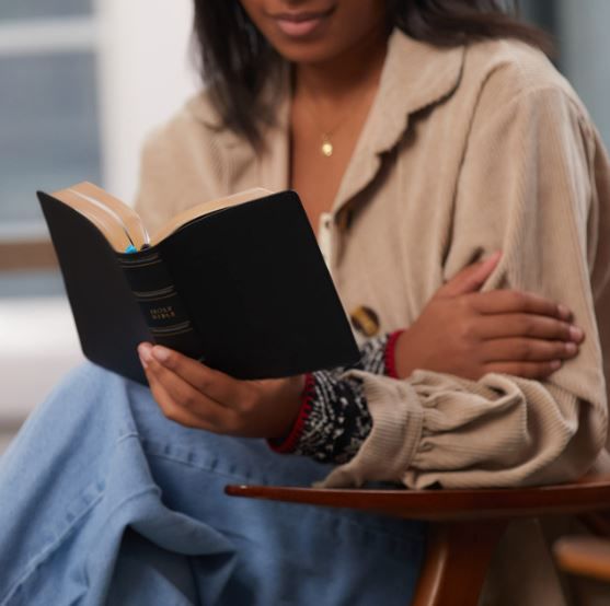 211-0241 Product Image 4