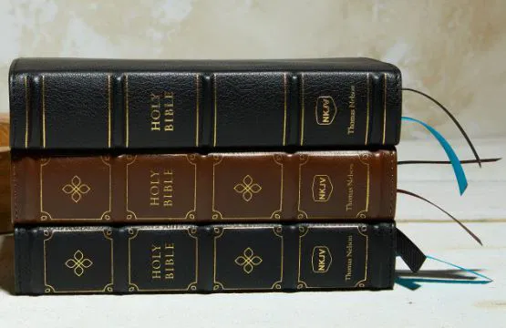 211-0241 Product Image 5