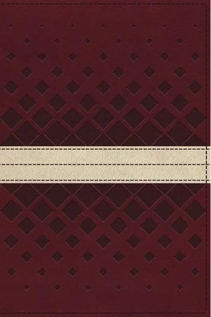 NKJV, Unapologetic Study Bible Red/Tan