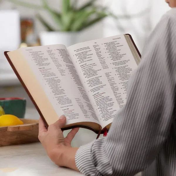 211-0282 Product Image 3