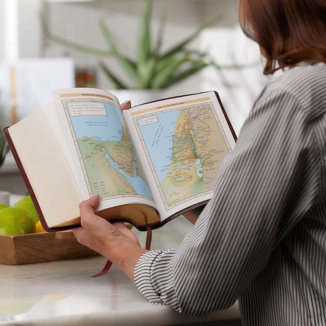 211-0282 Product Image 6