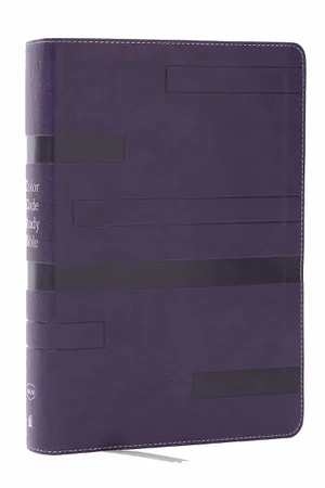 Colour Code Study Bible, Revealing God's Truth Colour by Colour, Purple Leathersoft