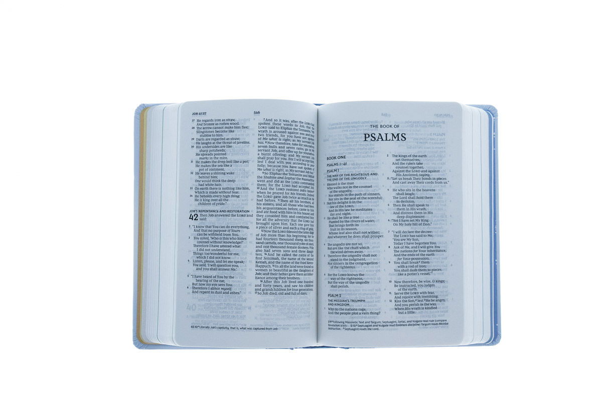 211-0397 Product Image 4