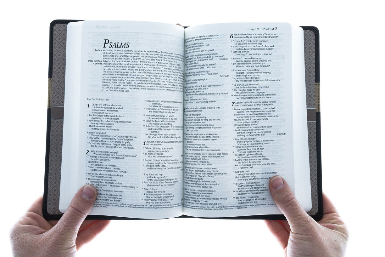 Product 212-0003 - View 3 212-0003 Product Image 3