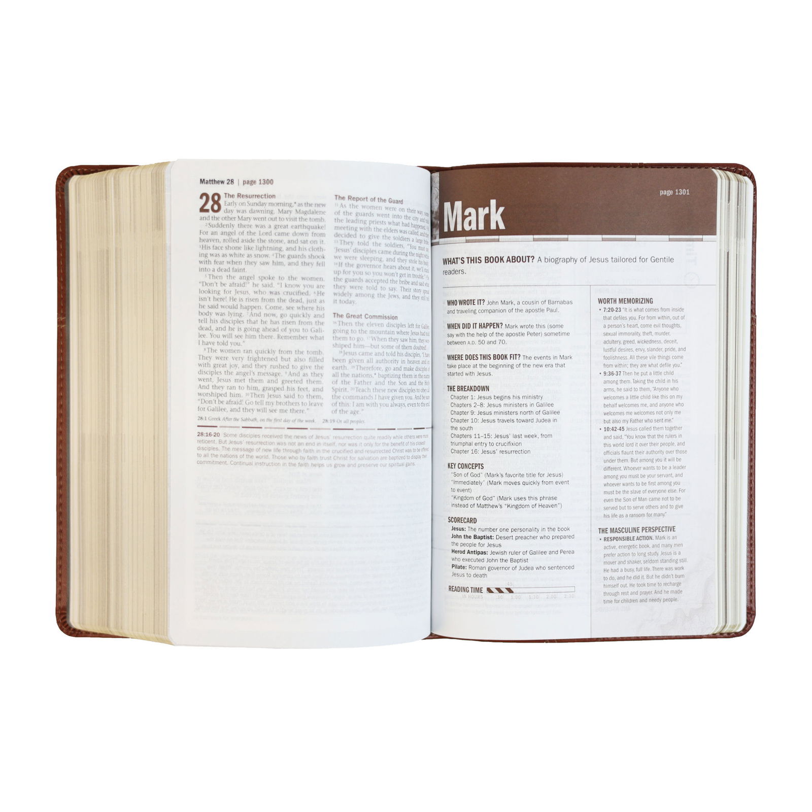 Product 212-0038 - View 4 212-0038 Product Image 4