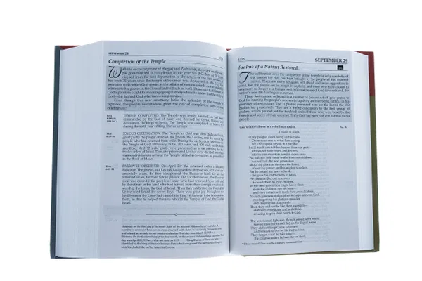 212-0049 Product Image 5
