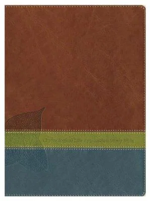 NLT2 Chronological Life Application Study Bible-Brown/Green/Dark Teal TuTone