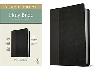 NLT Personal Size Giant Print Bible, Filament Enabled Edition -Red Letter,