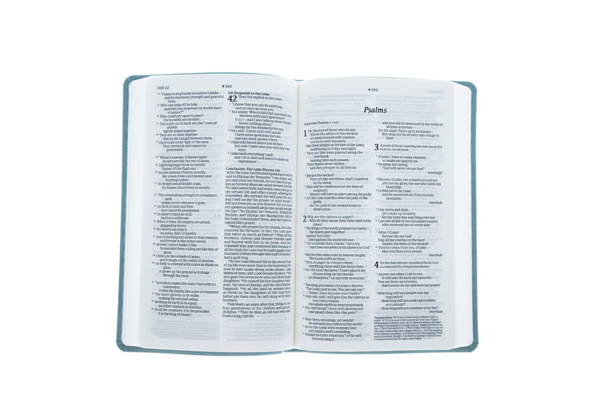 212-0098 Product Image 4