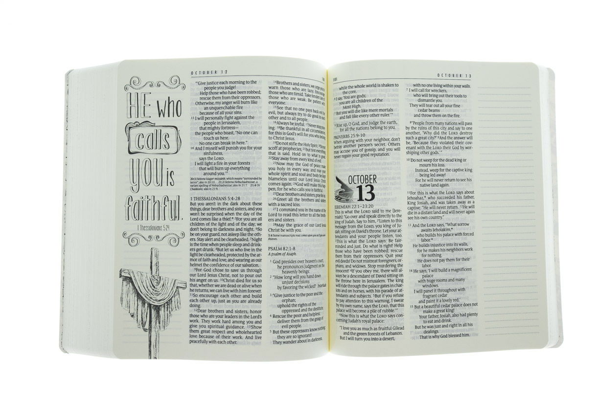 Product 212-0147 - View 4 212-0147 Product Image 4