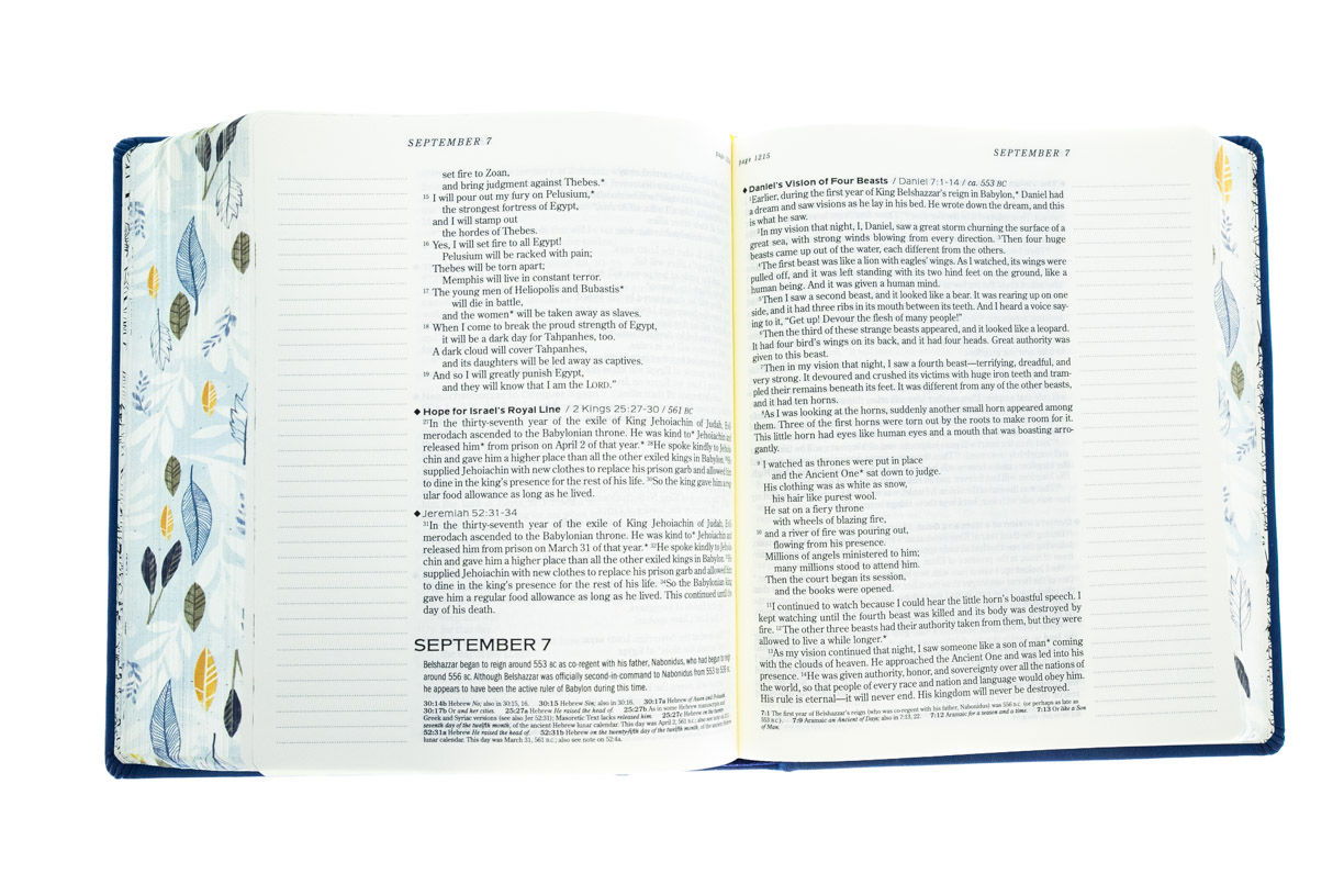 212-0148 Product Image 4