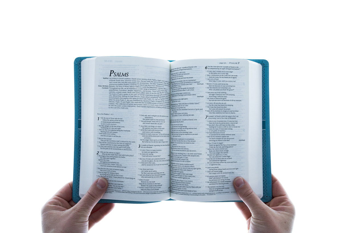 212-0181 Product Image 4