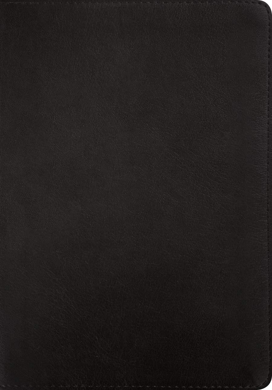 Product 212-0183 - View 2 212-0183 Product Image 2