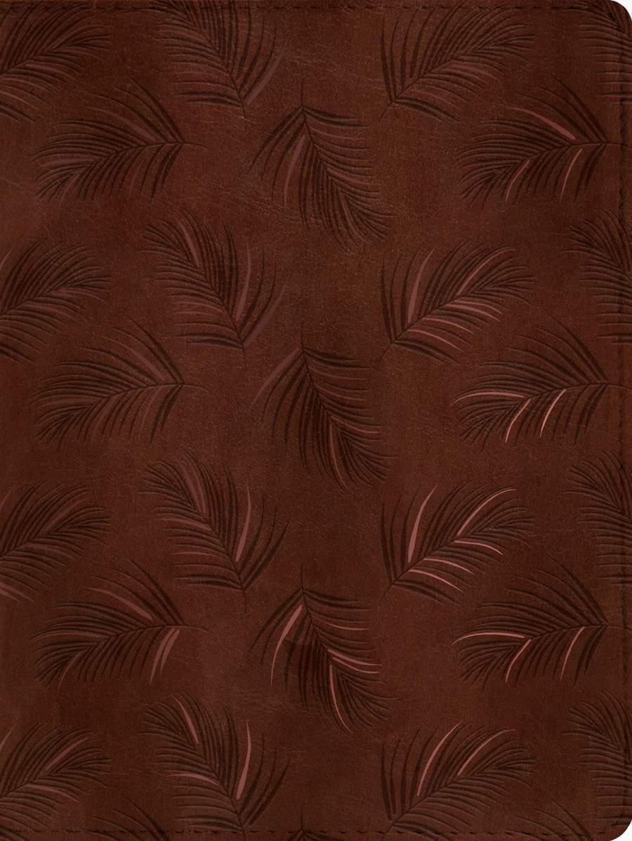 212-0184 Product Image 2