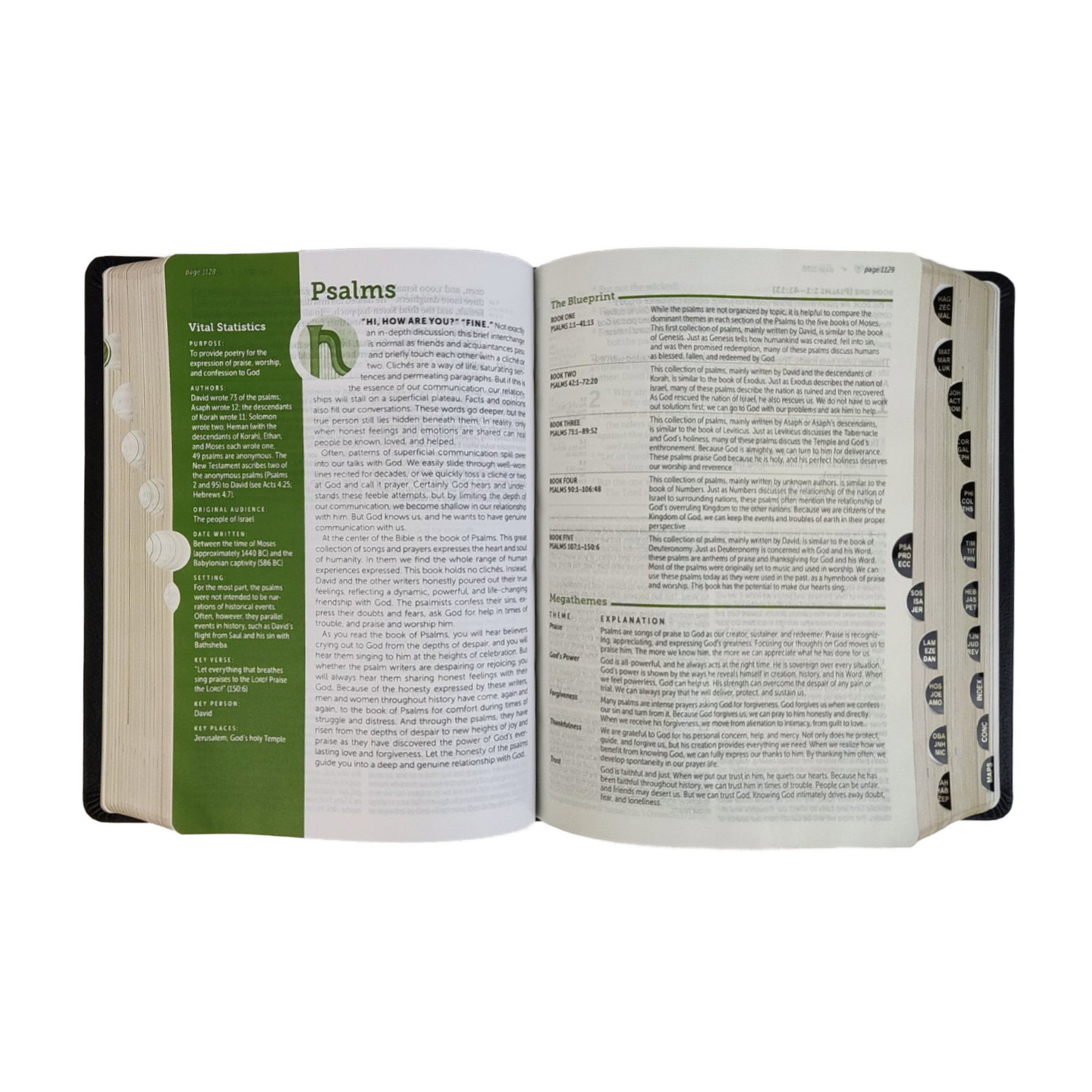 212-0185 Product Image 3