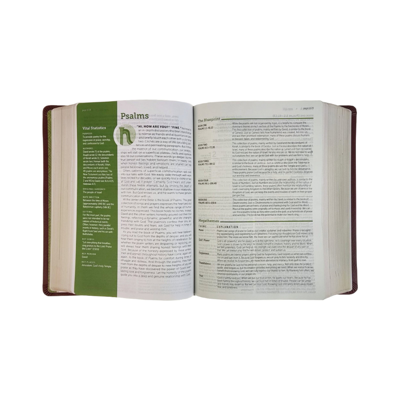 212-0187 Product Image 3