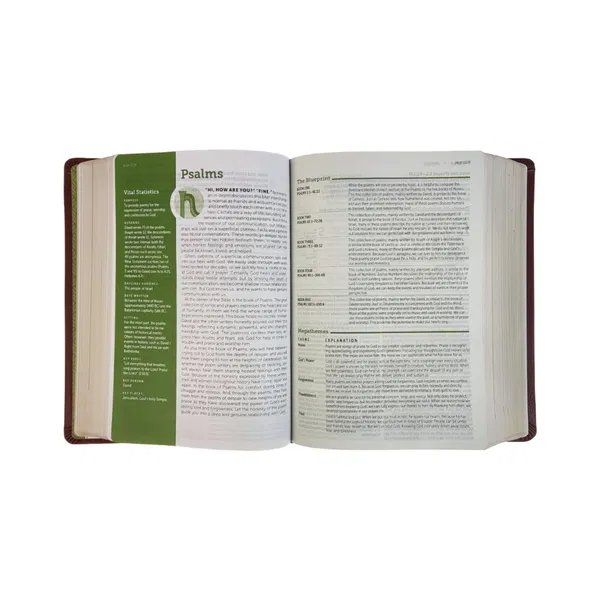 212-0187 Product Image 3