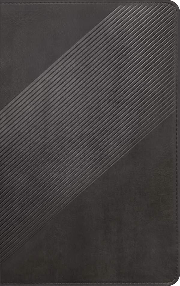 NLT Student Life Application Bible Charcoal Striped