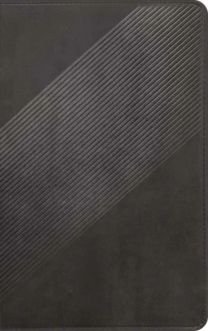 NLT Student Life Application Bible Charcoal Striped