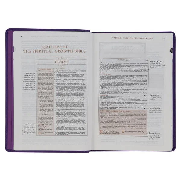 212-0202 Product Image 4