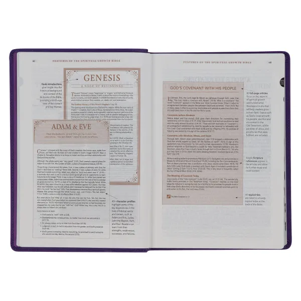 212-0202 Product Image 5