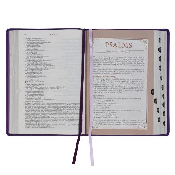 212-0202 Product Image 6