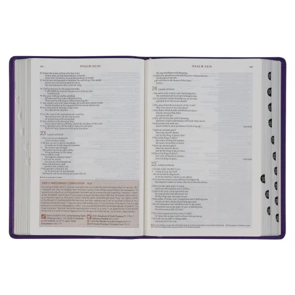 212-0202 Product Image 7