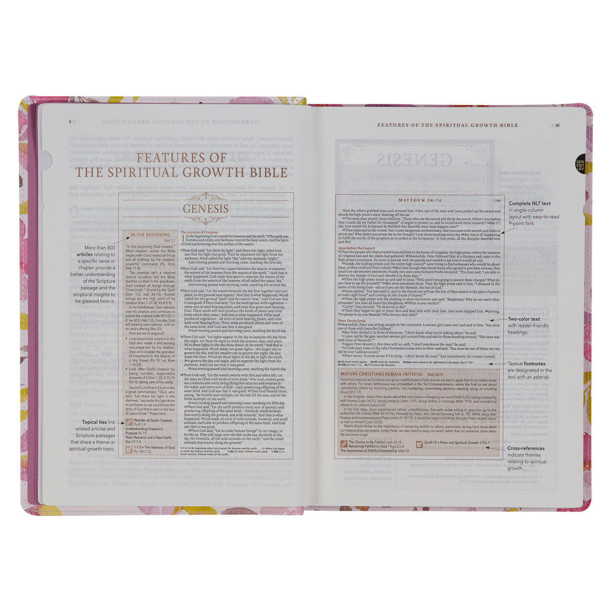 212-0203 Product Image 3