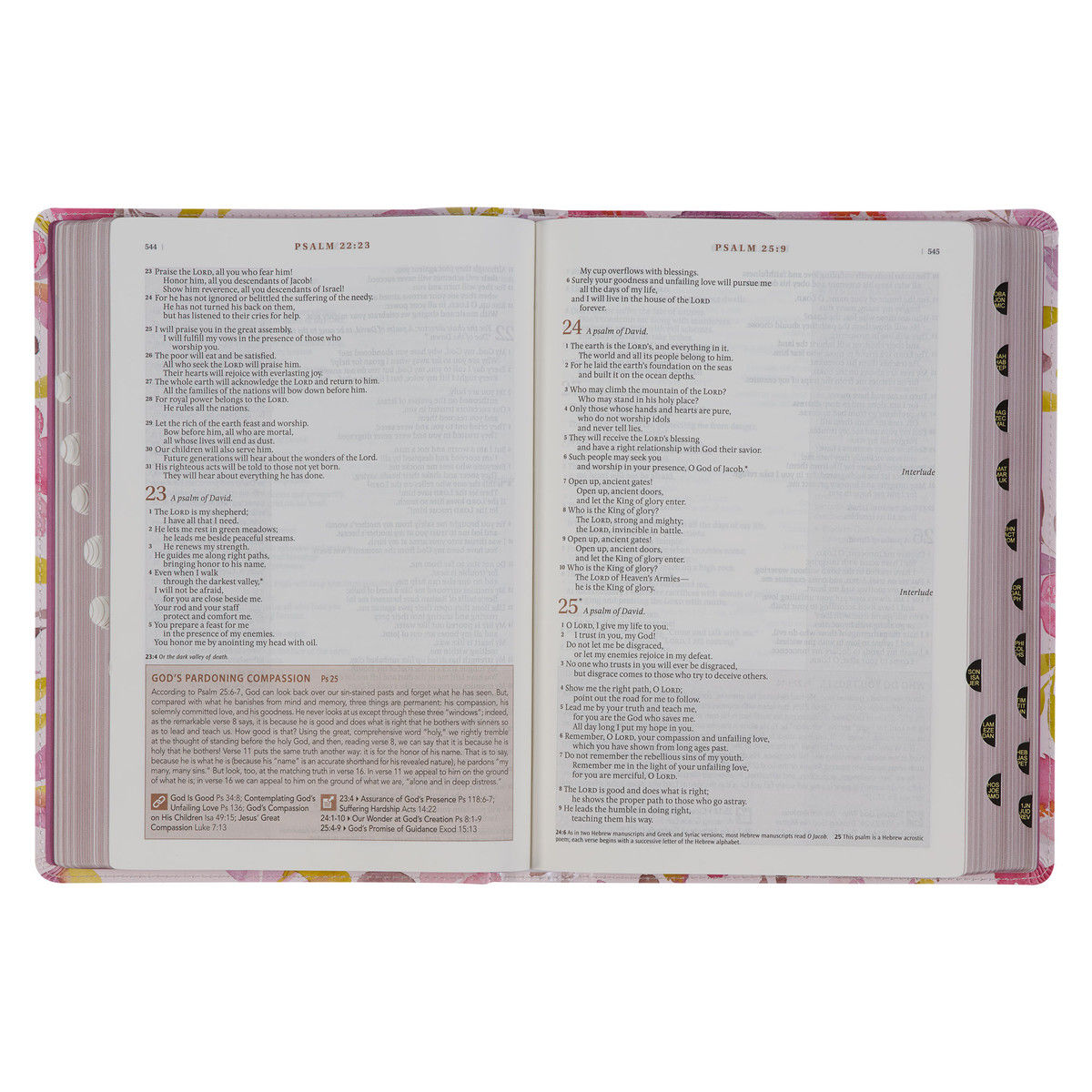 212-0203 Product Image 5