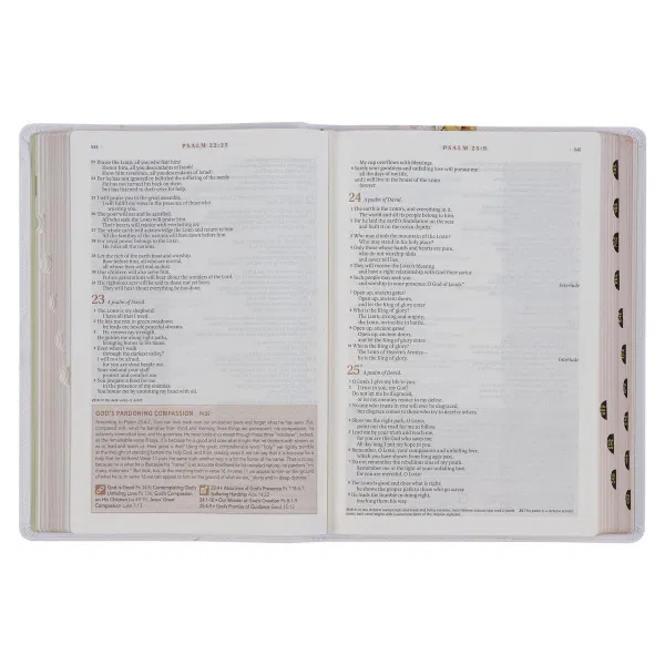 212-0204 Product Image 6