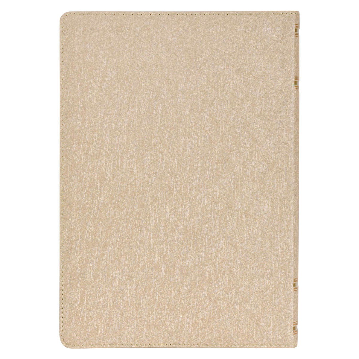 212-0207 Product Image 2