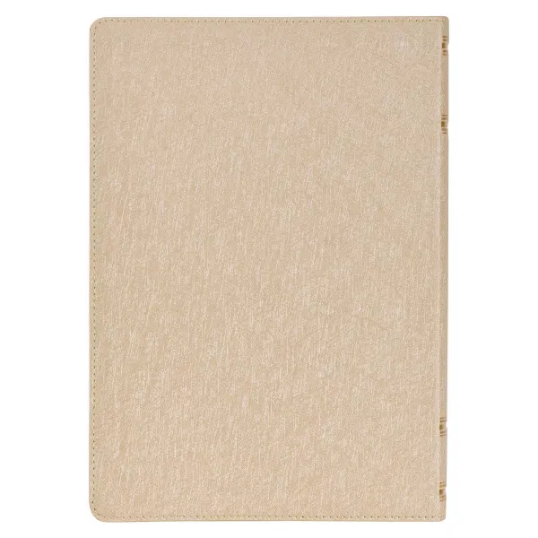 212-0207 Product Image 2