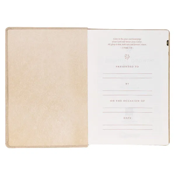 212-0207 Product Image 4
