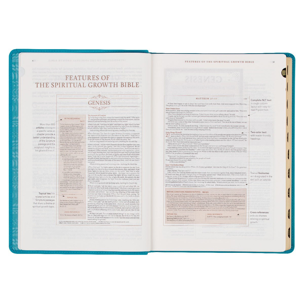 212-0208 Product Image 5