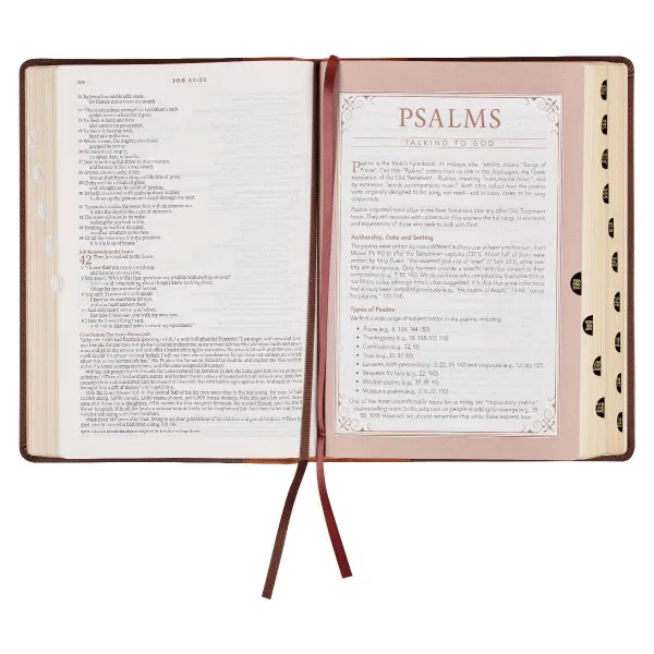 212-0209 Product Image 6