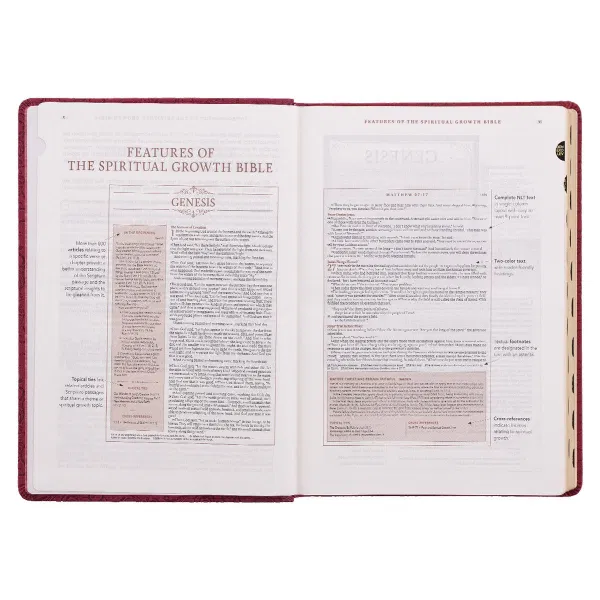212-0211 Product Image 4